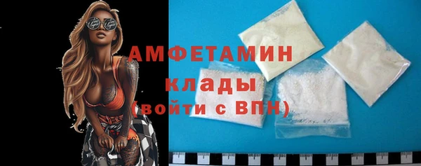 прущие грибы Покров
