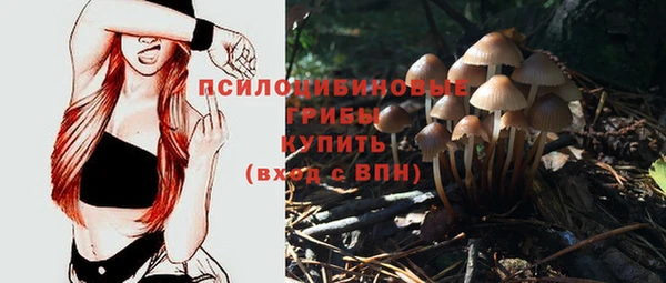 MDMA Беломорск